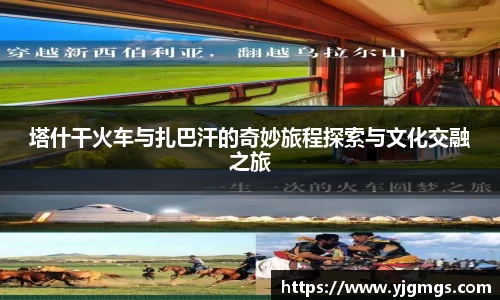 3003新葡的京集团官网