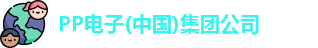 PP电子